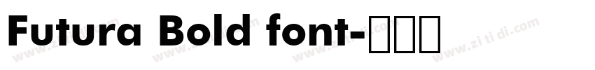 Futura Bold font字体转换